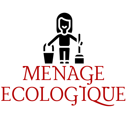 ménage écologique