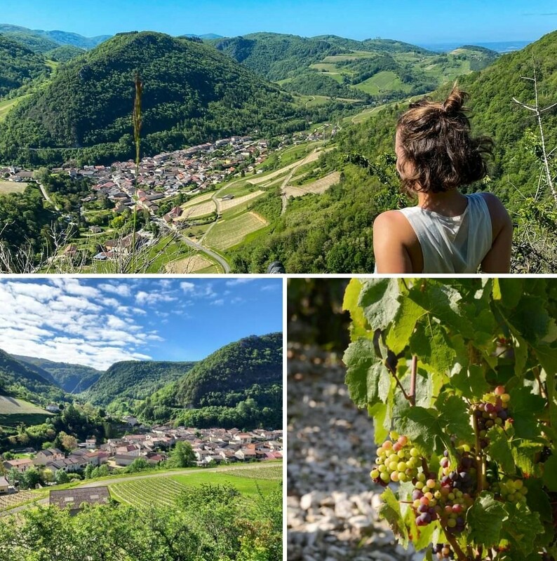 activités et oenotourisme autour du gîte